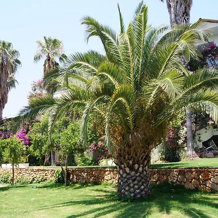 Pataros Hotel Hotel 2*
